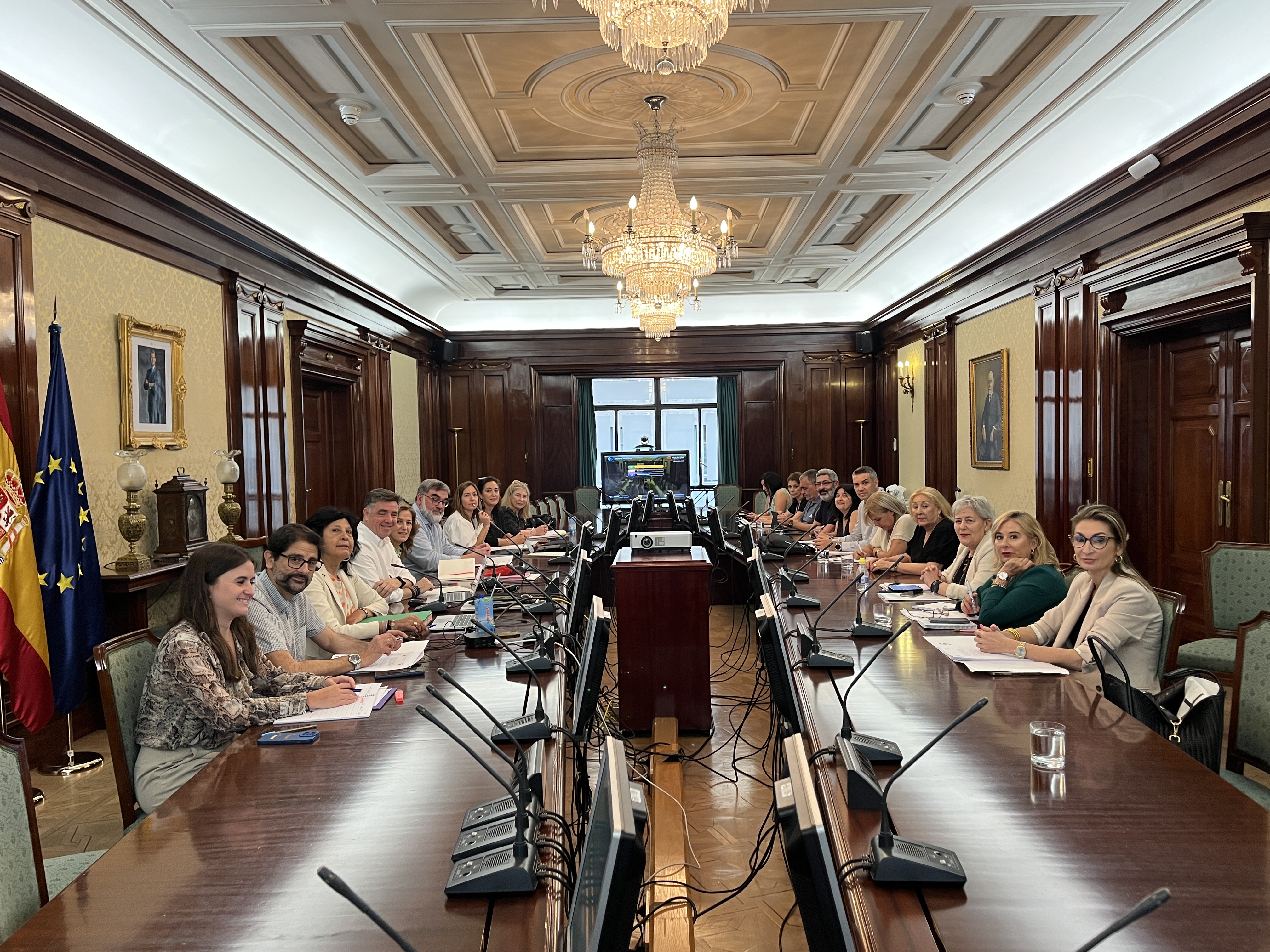 Mesa Sectorial del INGESA celebrada el 4 de junio de 2024